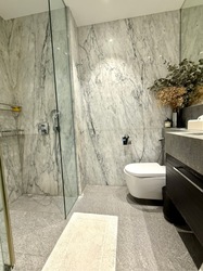 The Vermont On Cairnhill (D9), Apartment #484698541